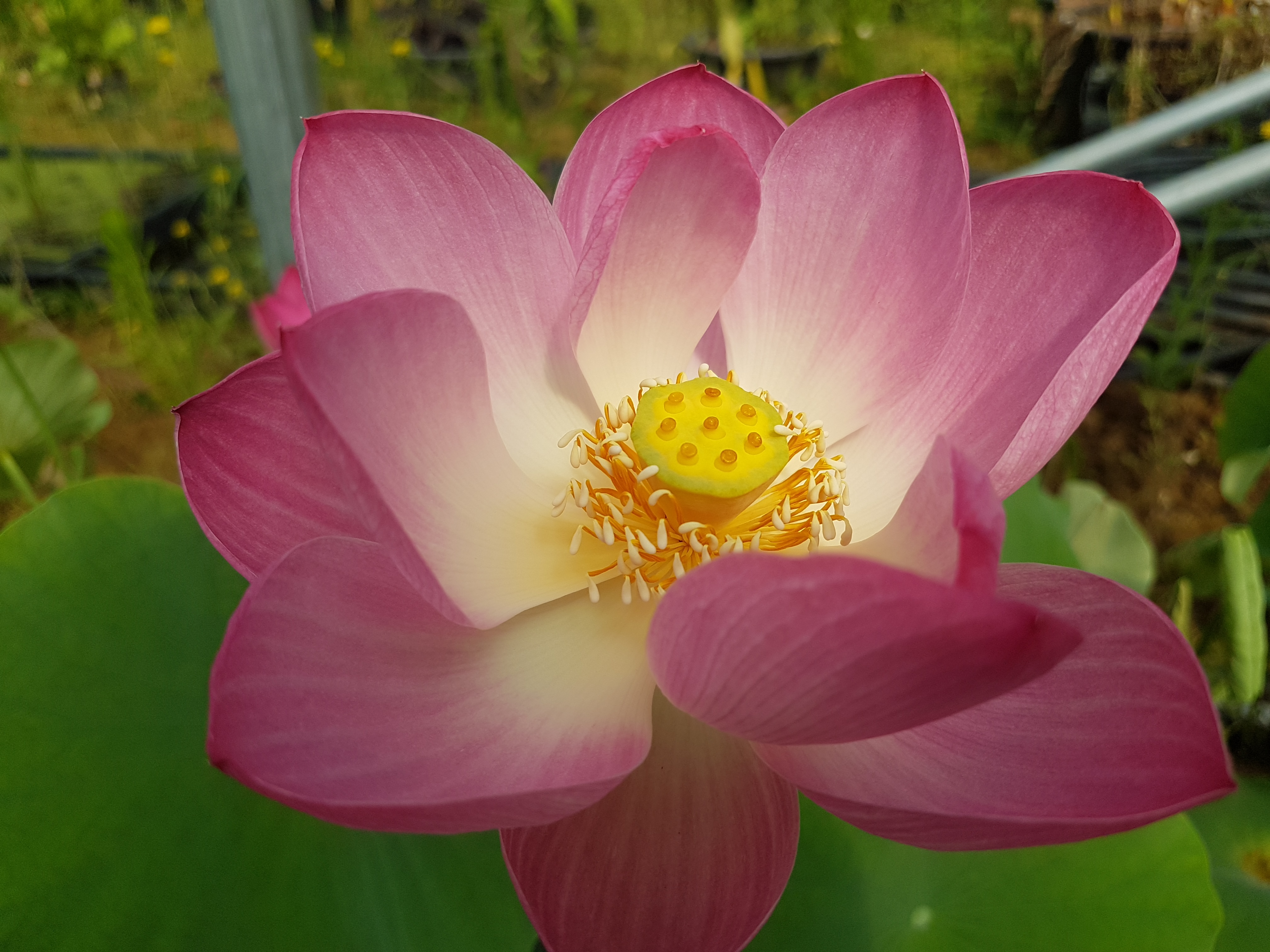 Photo n° 7 de l'avis de amon.o fait le 19/06/2022 à 12:03