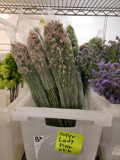 Florist «Botanica Wholesale Florist», reviews and photos, 3208 International Pl, Irving, TX 75062, USA