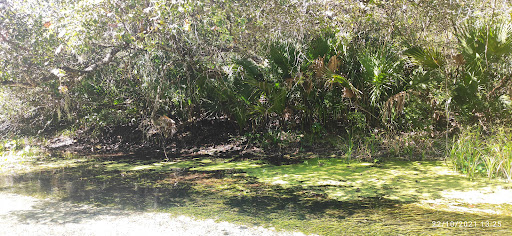 Barbecue Restaurant «4 Rivers Smokehouse», reviews and photos, 1047 S Dillard St, Winter Garden, FL 34787, USA