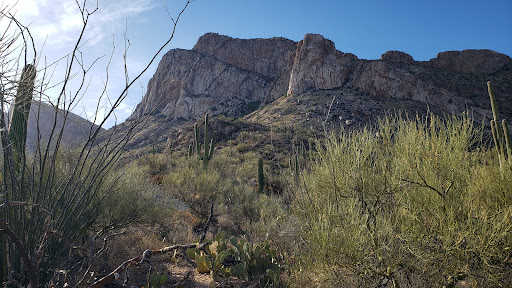 Tourist Attraction «Linda Vista Trail», reviews and photos, 730 E Linda Vista Rd, Oro Valley, AZ 85737, USA