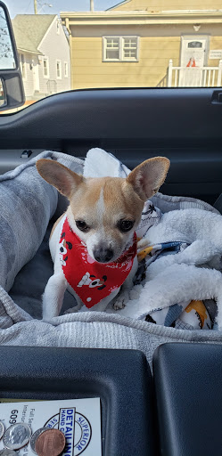 Pet Supply Store «Animal House Grooming & Quality», reviews and photos, 229 W Absecon Blvd, Absecon, NJ 08201, USA