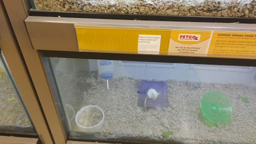 Pet Supply Store «Petco Animal Supplies», reviews and photos, 8404 Eager Rd b, Brentwood, MO 63144, USA