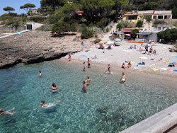 Photo de Stecchi beach avec #42