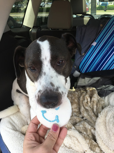 Pet Supply Store «Pet Valu», reviews and photos, 1354 Centennial Ave, Piscataway Township, NJ 08854, USA