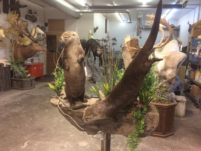 Orion Taxidermy