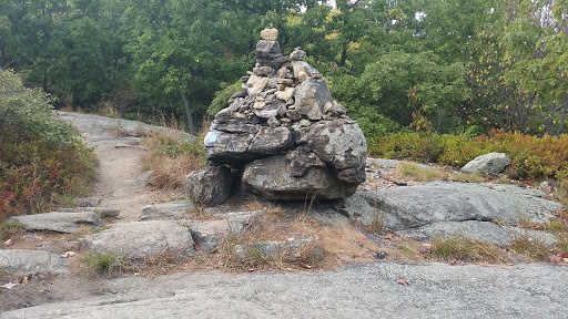 Nature Preserve «The New Weis Center for Education, Arts & Recreation», reviews and photos, 150 Snake Den Rd, Ringwood, NJ 07456, USA