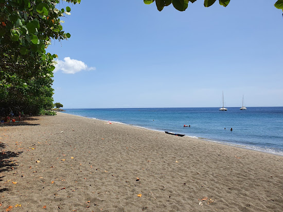Plage des Raisiniers