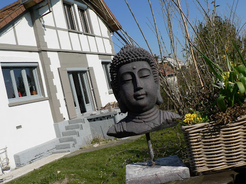 terramera gite baie somme Tréport chien maison artiste jardin zen et plage SOLEIL à Mers-les-Bains