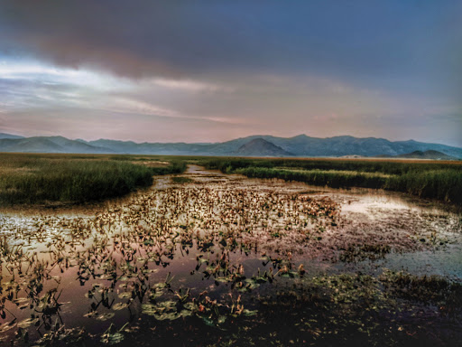 Motorcycle Dealer «Capitol Yamaha», reviews and photos, 4622 Auburn Blvd, Sacramento, CA 95841, USA