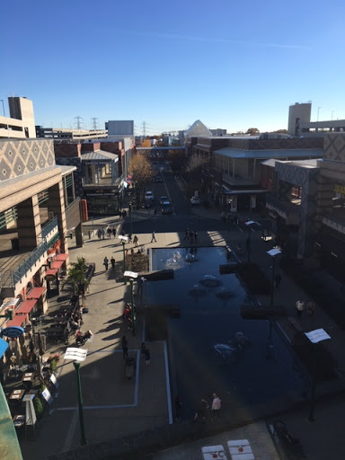 Camping Store «REI», reviews and photos, 49 Fitzgerald Street, Yonkers, NY 10710, USA