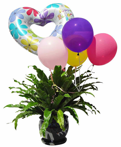 Florist «Avalon Flowers», reviews and photos, 1257 N Avalon Blvd, Wilmington, CA 90744, USA