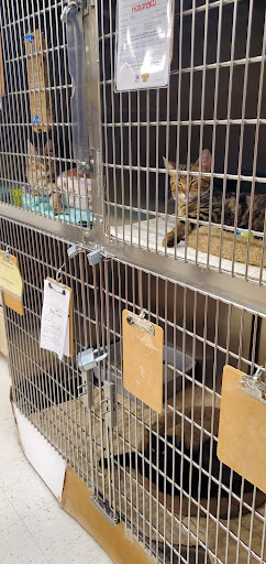 Pet Supply Store «PetSmart», reviews and photos, 4465 US-14, Crystal Lake, IL 60014, USA