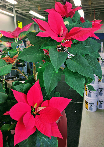 Electrical Supply Store «Becker Electric Supply», reviews and photos, 3825 Business Park Dr, Columbus, OH 43204, USA