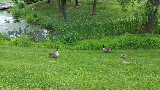 Tourist Attraction «Creation Museum», reviews and photos, 2800 Bullittsburg Church Rd, Petersburg, KY 41080, USA