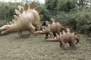 The Dinosaur Park Tenby image