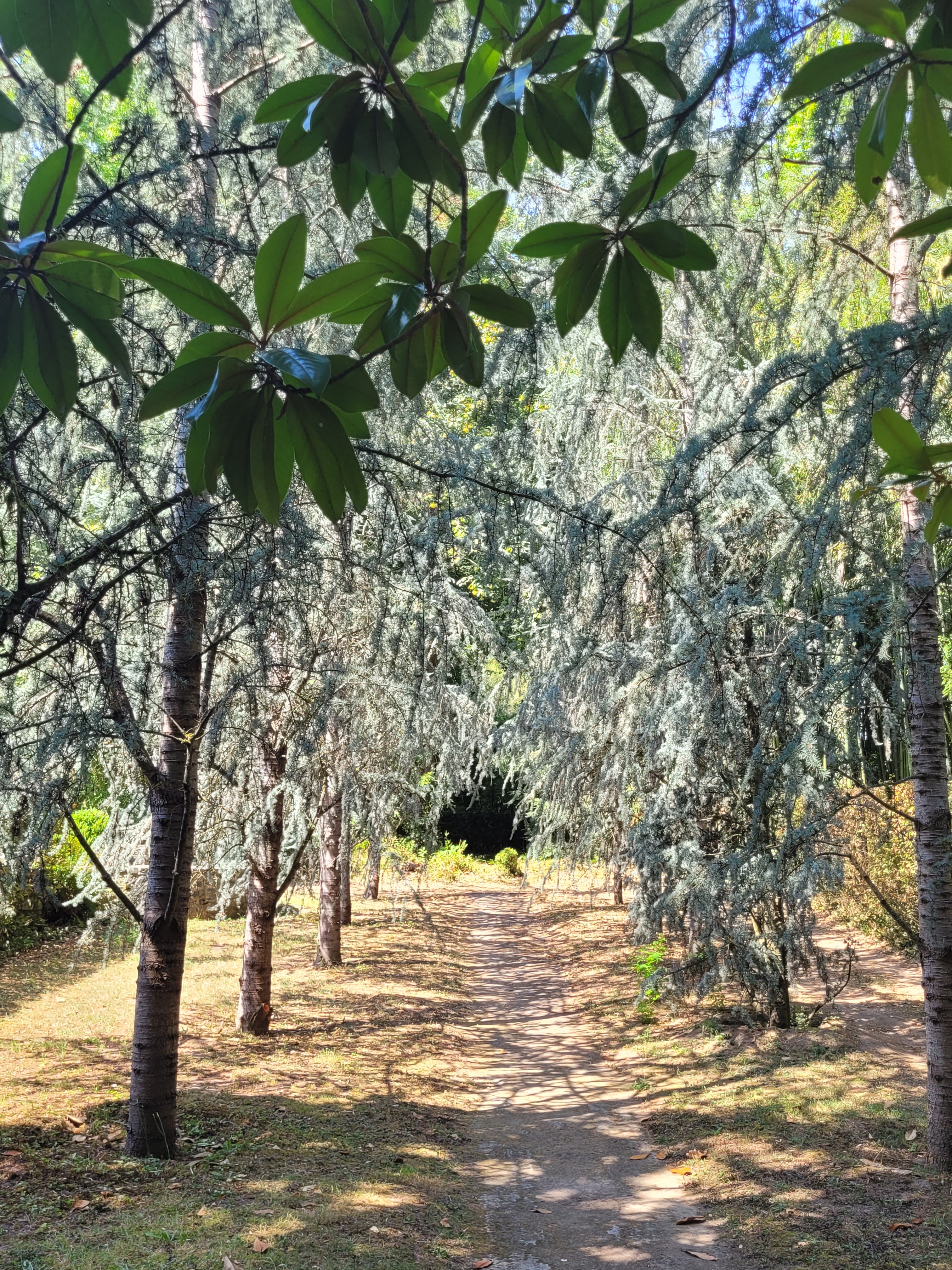 Photo n° 6 de l'avis de Laetitia.e fait le 26/08/2023 à 16:41