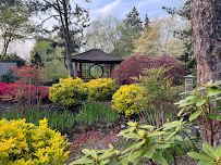 Gresham Japanese Garden - Tsuru Island - Photo 9 - Car repair in Gresham, OR, Gresham