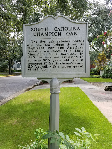 Wedding Venue «Winyah Indigo Society Hall», reviews and photos, 509 Prince St, Georgetown, SC 29440, USA