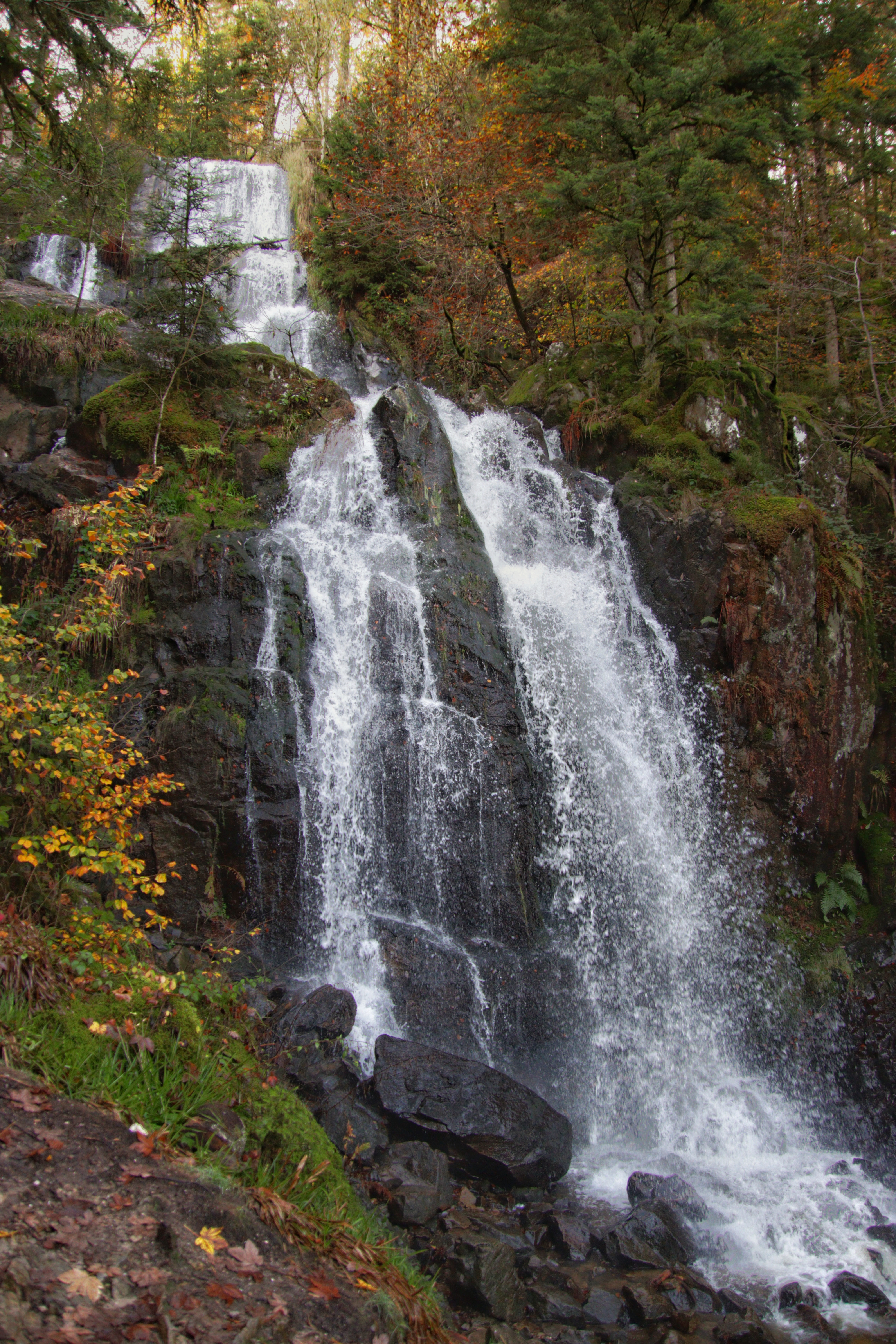 Photo n° 1 de l'avis de Ludovic.a fait le 25/10/2022 à 20:42