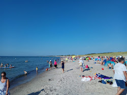 Photo de Dierhagen Strand situé dans une zone naturelle
