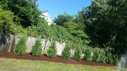 Auto Parts Store «AutoZone», reviews and photos, 1620 Mineral Spring Ave, North Providence, RI 02904, USA