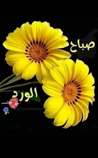 Discount Store «Walmart», reviews and photos, 50 N MacDade Blvd, Glenolden, PA 19036, USA