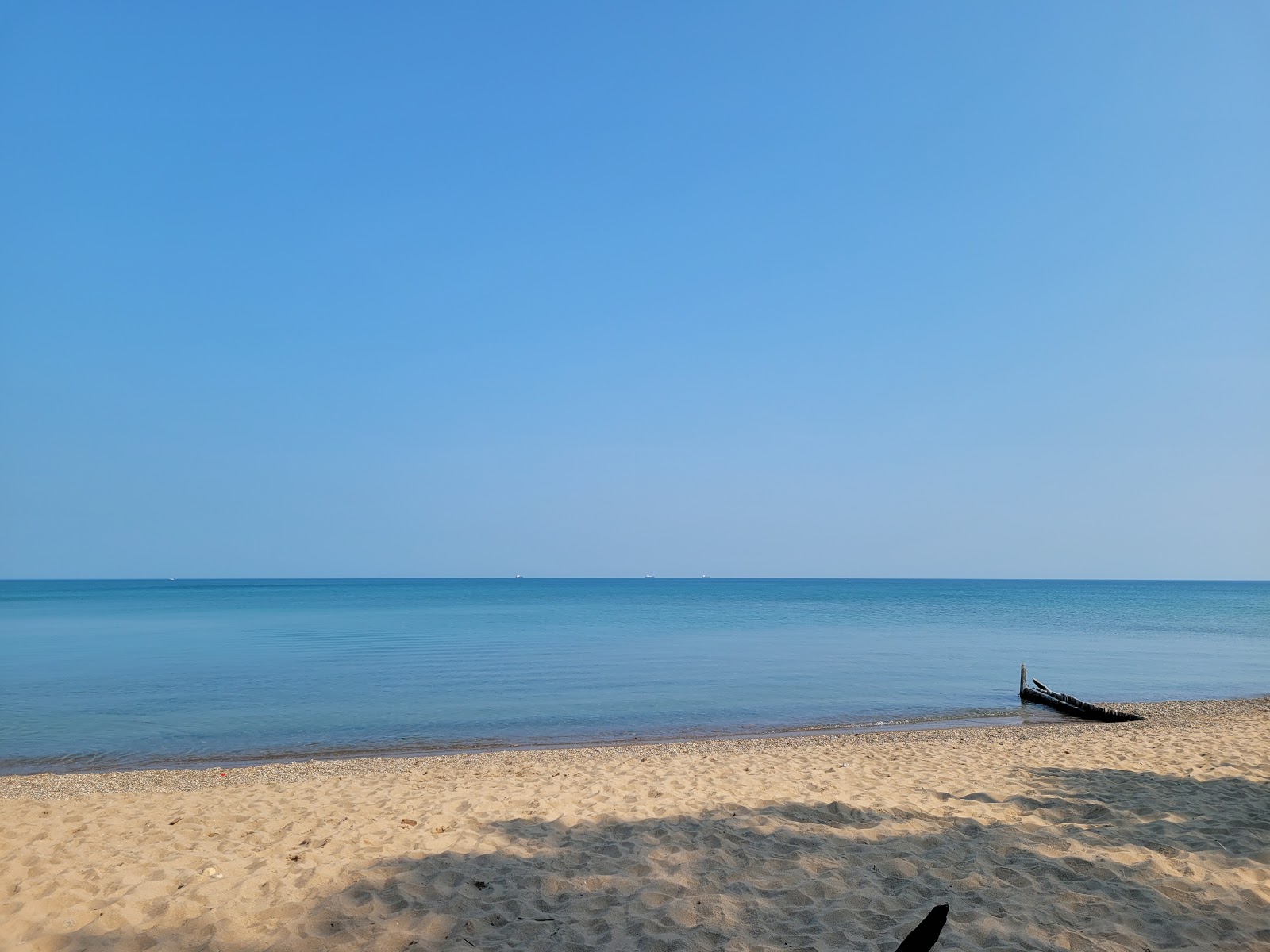 Murphy Road Beach的照片 具有非常干净级别的清洁度