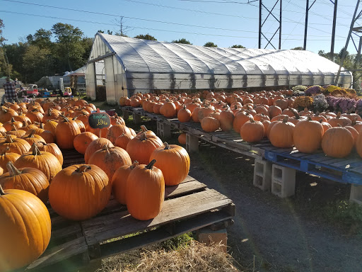 Farm «Fairmount Fruit Farm», reviews and photos, 887 Lincoln Street, Franklin, MA 02038, USA