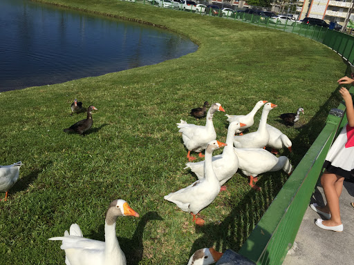 Park «McDonald Park», reviews and photos, 7505 W 12th Ave, Hialeah, FL 33014, USA