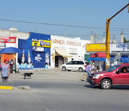 microplaza limones photo