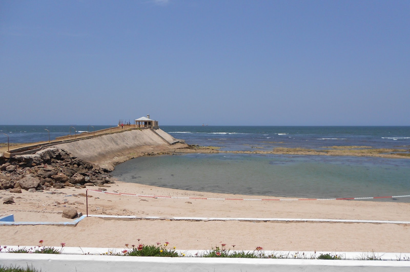 Plage Les Palmiers photo #9