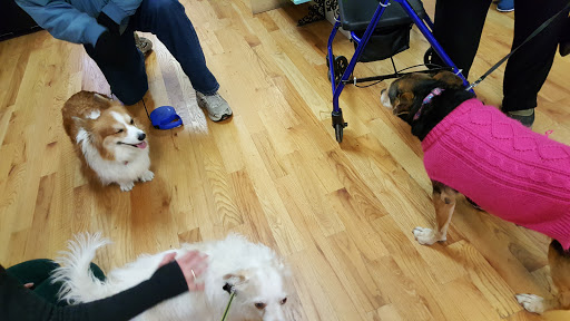 Pet Supply Store «K9 Kibble LLC», reviews and photos, 5535 6th Ave, Kenosha, WI 53140, USA