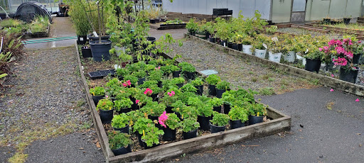 Golf Course «Legion Memorial Golf Course», reviews and photos, 144 W Marine View Dr, Everett, WA 98201, USA