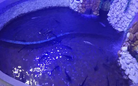 Howrah Aquarium image