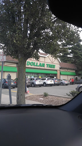 Dollar Store «Dollar Tree», reviews and photos, 250 Jericho Turnpike #80, Floral Park, NY 11001, USA