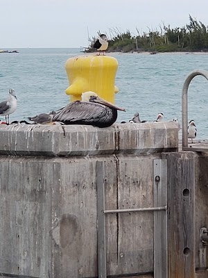 Key West Shipwreck Museum - photo 72
