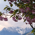 Photo n°7 de l'avis de Peter.o fait le 07/06/2023 à 03:52 sur le  Meggima am See - Bar Restaurant Pizzeria à Mühlwald