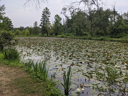 National Park «Kenilworth Park», reviews and photos, 1505 Ancostia Ave NE, Washington, DC 20019, USA