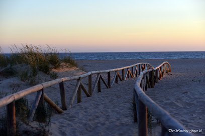 ECLECTIC OPEN SPACE TARIFA