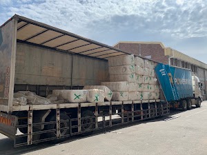 Cotton Export - photo 1