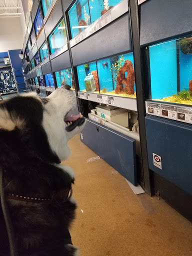 Pet Supply Store «Petco Animal Supplies», reviews and photos, 2621 MacArthur Rd, Whitehall, PA 18052, USA