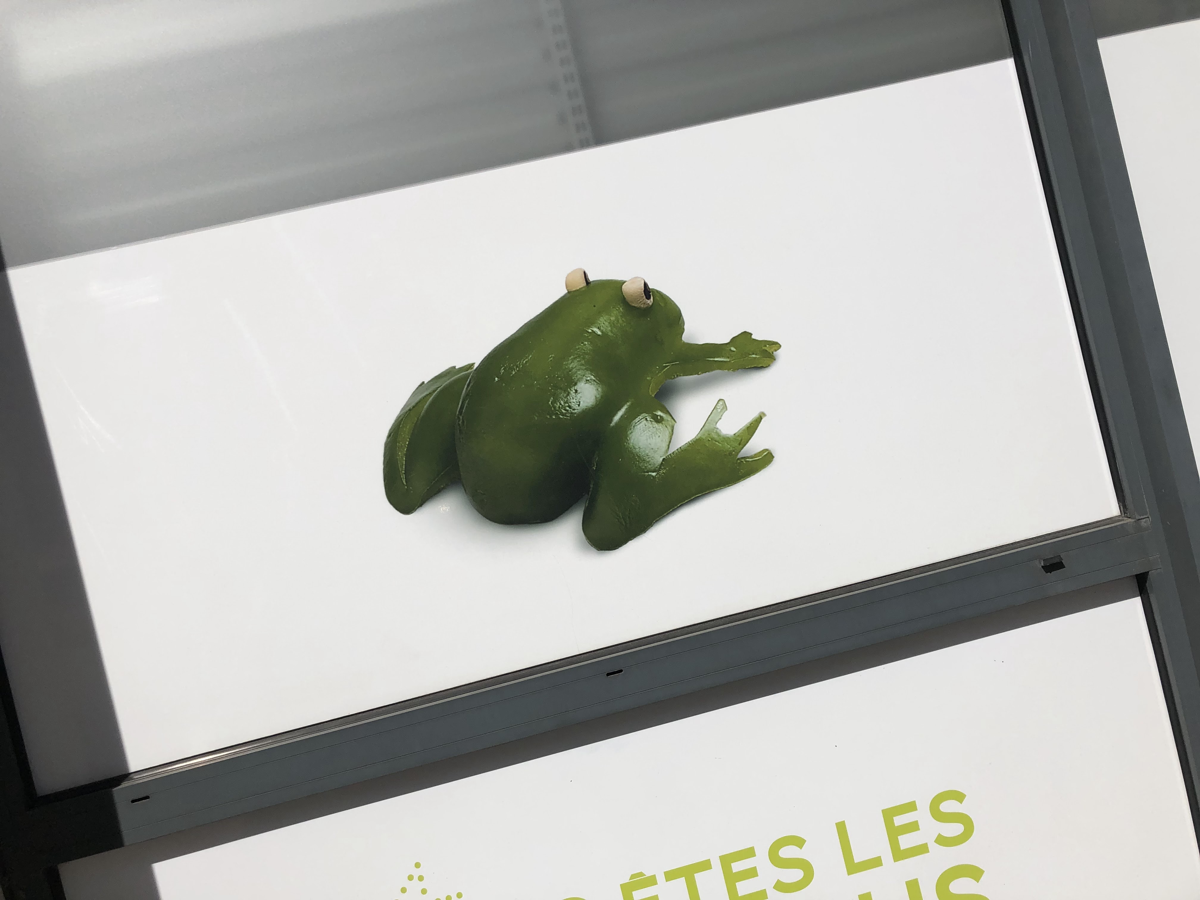 Photo n° 2 de l'avis de Yua.u fait le 21/04/2019 à 17:52