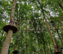 Bali Treetop Adventure Park photo