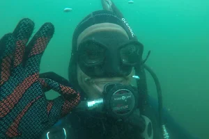 Bay Area School Of Diving image