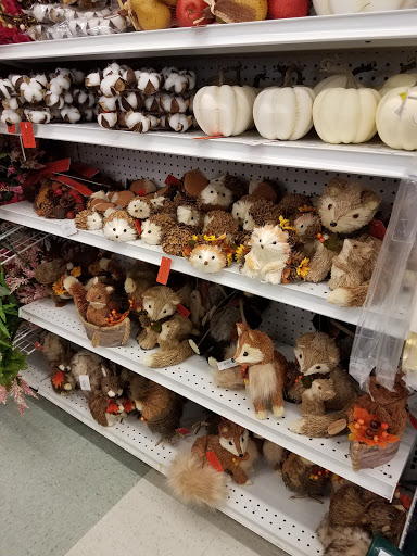 Fabric Store «Jo-Ann Fabrics and Crafts», reviews and photos, 2050 W University Dr #250, McKinney, TX 75070, USA