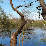 Photo n°7 de l'avis de Porsche.u fait le 26/04/2023 à 21:01 sur le  Zweirad Hotel Lenné à Schwerin