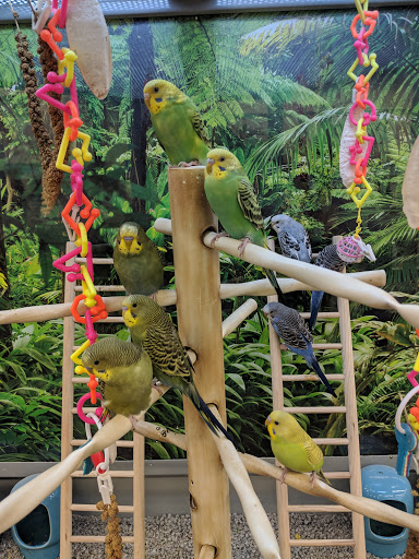 Pet Supply Store «Petco Animal Supplies», reviews and photos, 1680 Campbell Ln, Bowling Green, KY 42104, USA