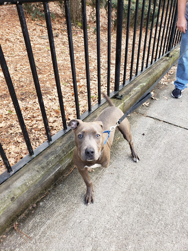 Pet Groomer «U Dirty Dog», reviews and photos, 232 Stevens Entry, Peachtree City, GA 30269, USA