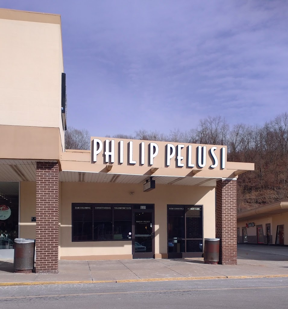 Philip Pelusi Southland Shopping Center 15236