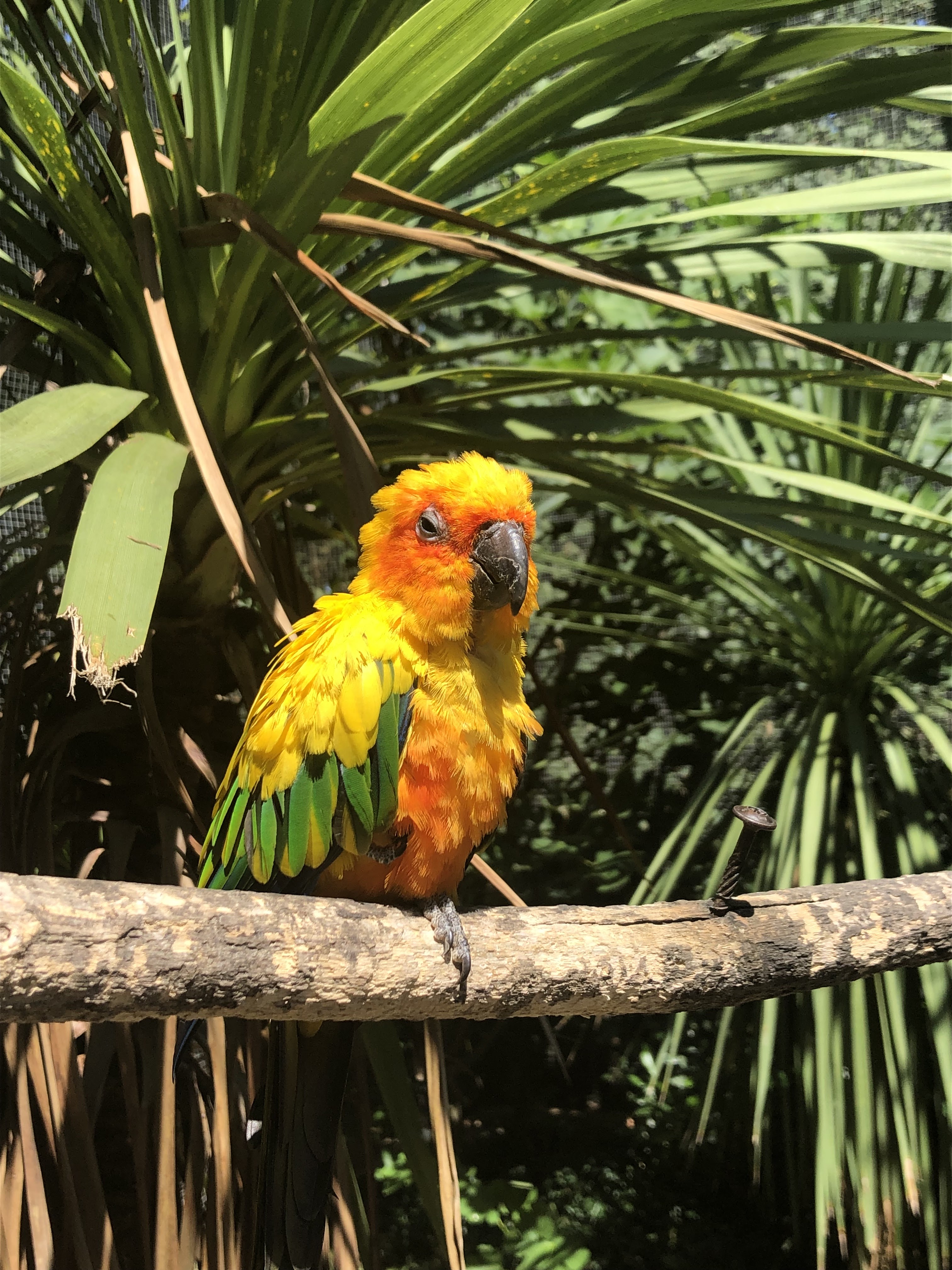 Photo n° 2 de l'avis de Laurence.E fait le 07/08/2023 à 14:35